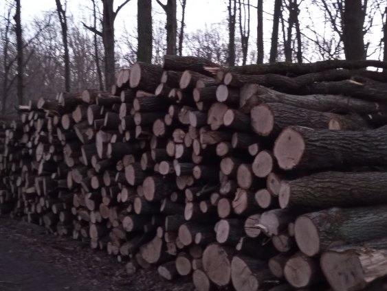 Dřevo pošík galerie