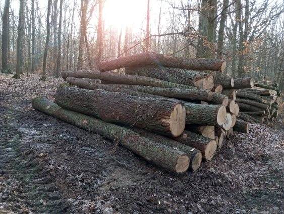 Dřevo pošík galerie