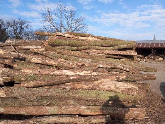 Dřevo pošík galerie